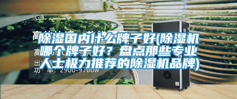 除濕國內(nèi)什么牌子好(除濕機(jī)哪個牌子好？盤點那些專業(yè)人士極力推薦的除濕機(jī)品牌)
