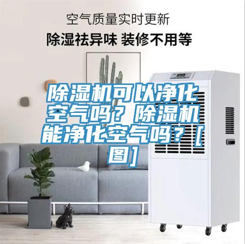 除濕機(jī)可以凈化空氣嗎？除濕機(jī)能凈化空氣嗎？[圖]