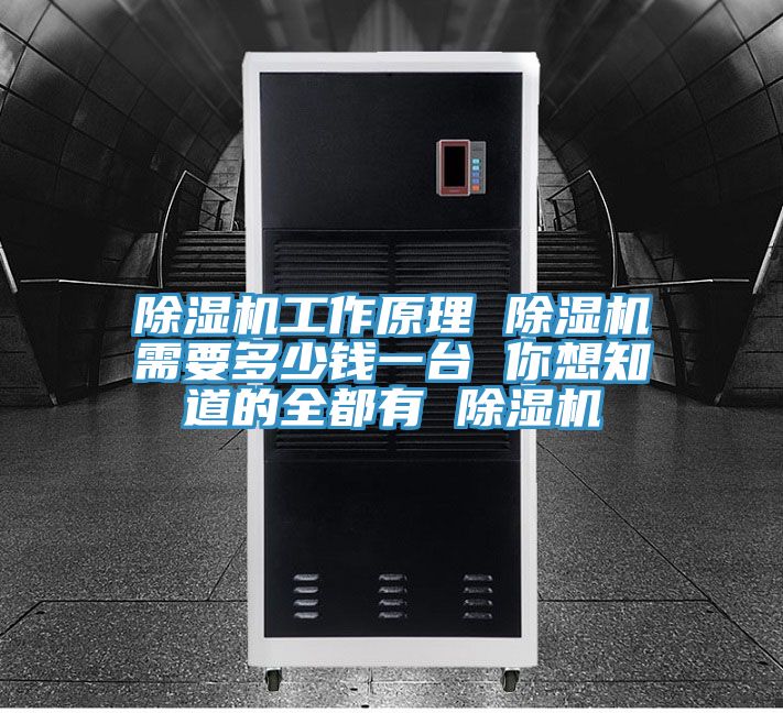 除濕機(jī)工作原理 除濕機(jī)需要多少錢一臺 你想知道的全都有 除濕機(jī)