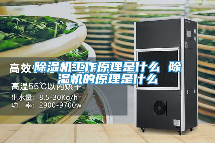 除濕機(jī)工作原理是什么 除濕機(jī)的原理是什么