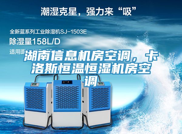 湖南信息機房空調(diào)，卡洛斯恒溫恒濕機房空調(diào)
