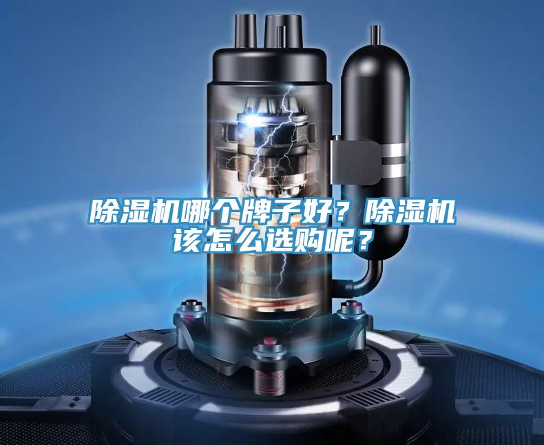 除濕機哪個牌子好？除濕機該怎么選購呢？