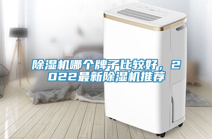 除濕機哪個牌子比較好，2022最新除濕機推薦