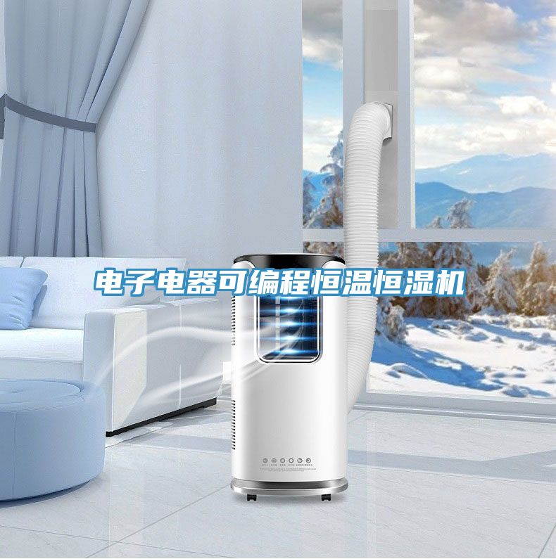 電子電器可編程恒溫恒濕機(jī)