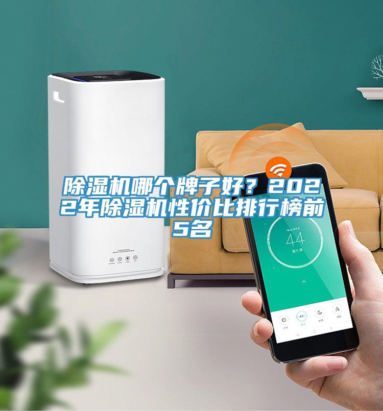 除濕機(jī)哪個(gè)牌子好？2022年除濕機(jī)性價(jià)比排行榜前5名