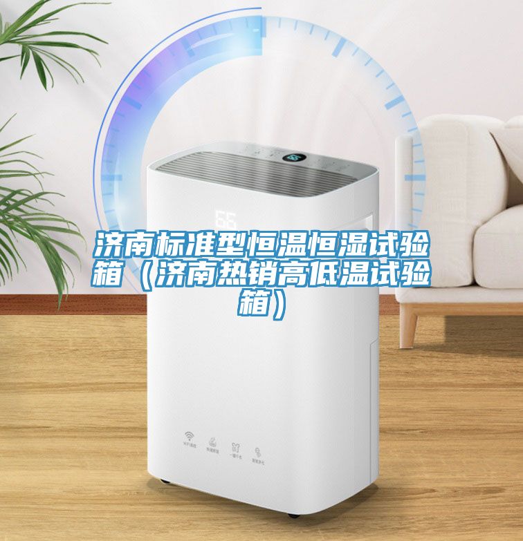 濟(jì)南標(biāo)準(zhǔn)型恒溫恒濕試驗(yàn)箱（濟(jì)南熱銷(xiāo)高低溫試驗(yàn)箱）