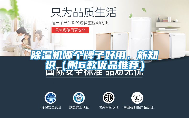 除濕機(jī)哪個(gè)牌子好用，新知識（附6款優(yōu)品推薦）
