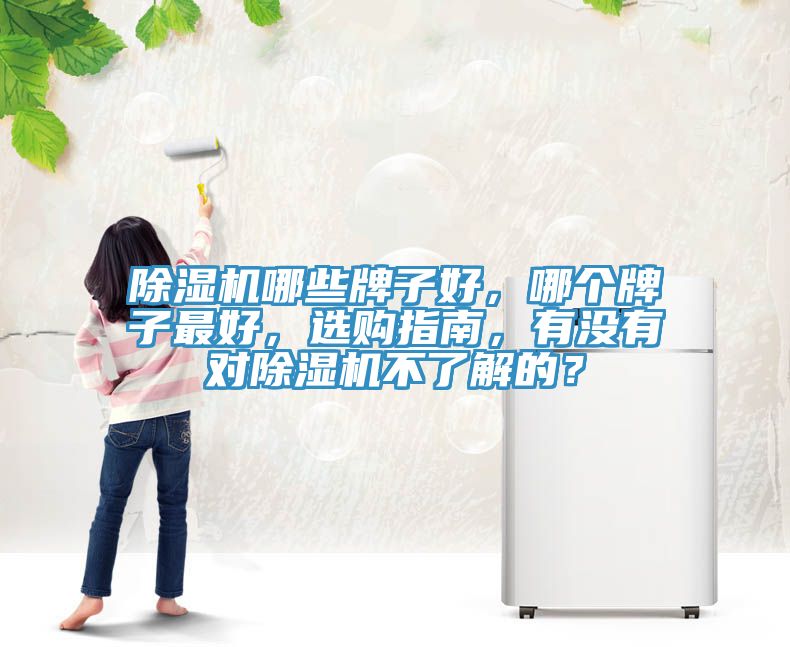 除濕機哪些牌子好，哪個牌子最好，選購指南，有沒有對除濕機不了解的？