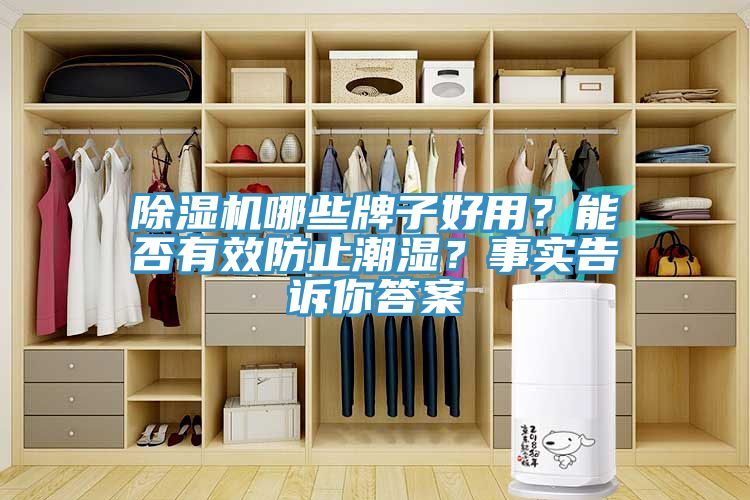 除濕機(jī)哪些牌子好用？能否有效防止潮濕？事實告訴你答案