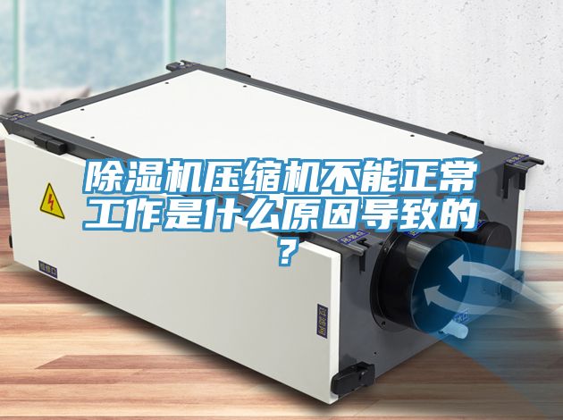 除濕機壓縮機不能正常工作是什么原因?qū)е碌模?/></p>
                            <p style=