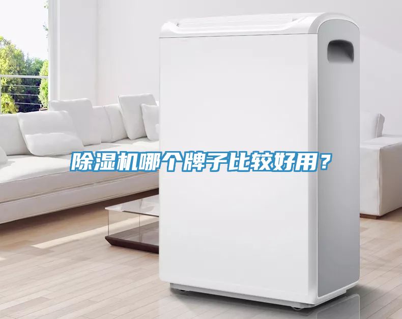 除濕機(jī)哪個(gè)牌子比較好用？