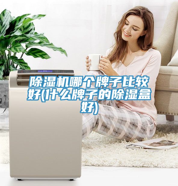 除濕機(jī)哪個牌子比較好(什么牌子的除濕盒好)