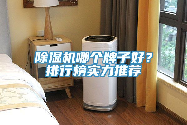 除濕機(jī)哪個(gè)牌子好？排行榜實(shí)力推薦