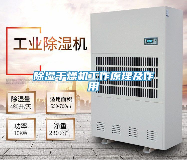 除濕干燥機(jī)工作原理及作用