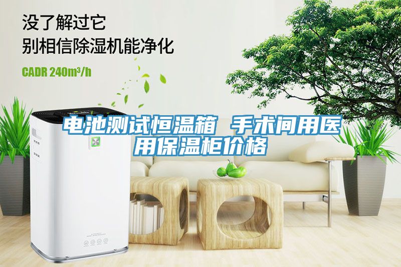 電池測試恒溫箱 手術(shù)間用醫(yī)用保溫柜價格