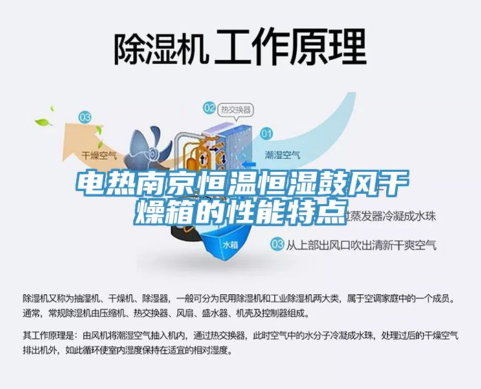 電熱南京恒溫恒濕鼓風(fēng)干燥箱的性能特點