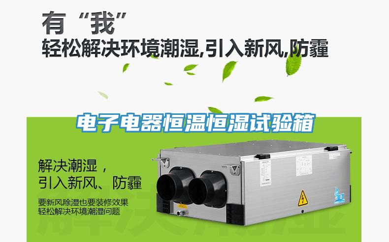 電子電器恒溫恒濕試驗(yàn)箱