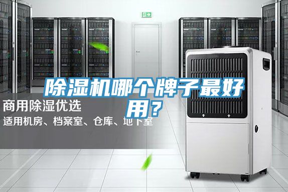 除濕機(jī)哪個牌子最好用？