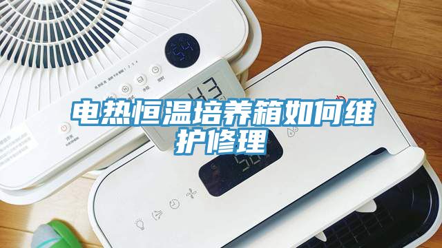 電熱恒溫培養(yǎng)箱如何維護(hù)修理
