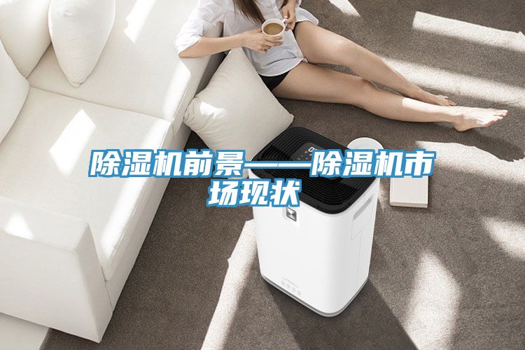 除濕機(jī)前景——除濕機(jī)市場(chǎng)現(xiàn)狀‍‍