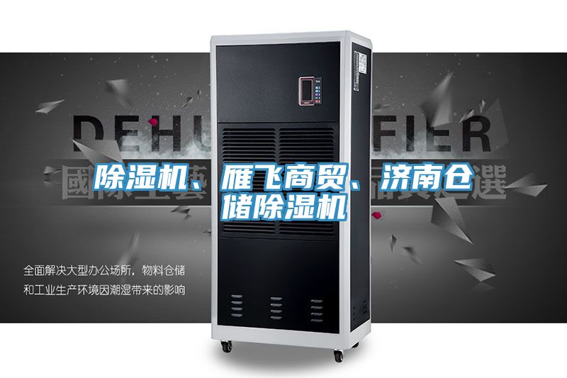 除濕機(jī)、雁飛商貿(mào)、濟(jì)南倉儲除濕機(jī)