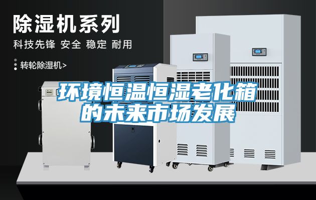 環(huán)境恒溫恒濕老化箱的未來市場發(fā)展