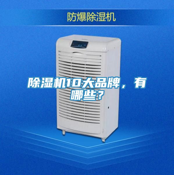 除濕機(jī)10大品牌，有哪些？