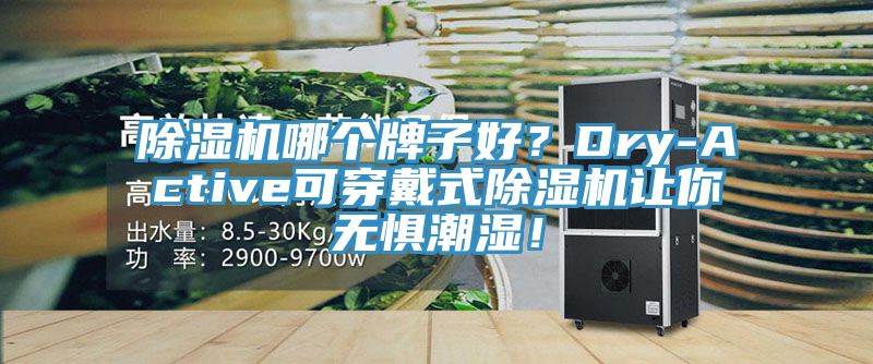 除濕機哪個牌子好？Dry-Active可穿戴式除濕機讓你無懼潮濕！