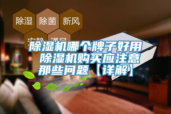 除濕機哪個牌子好用 除濕機購買應(yīng)注意那些問題【詳解】