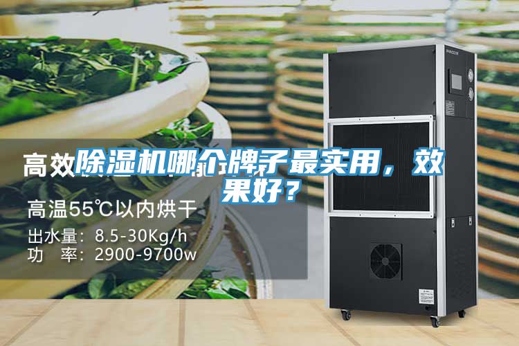 除濕機(jī)哪個(gè)牌子最實(shí)用，效果好？