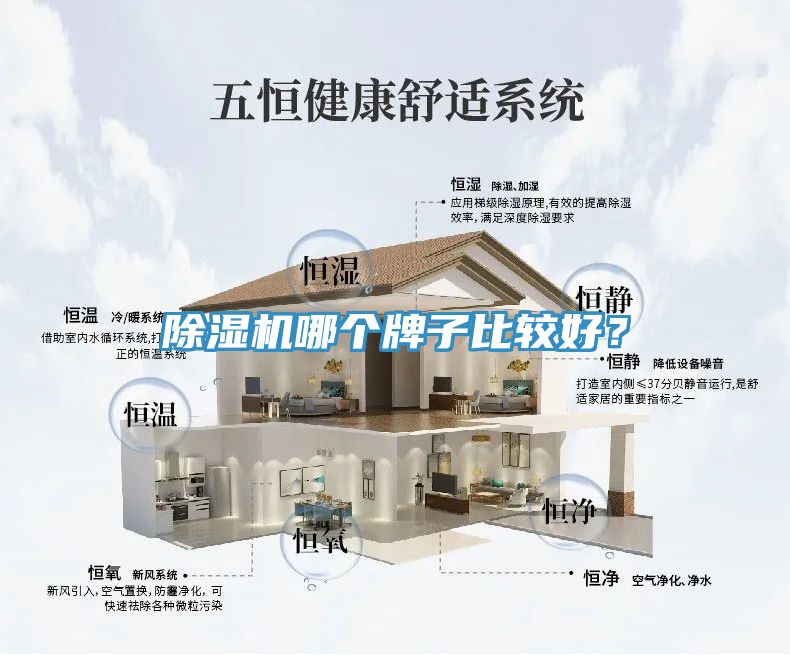 除濕機(jī)哪個(gè)牌子比較好？