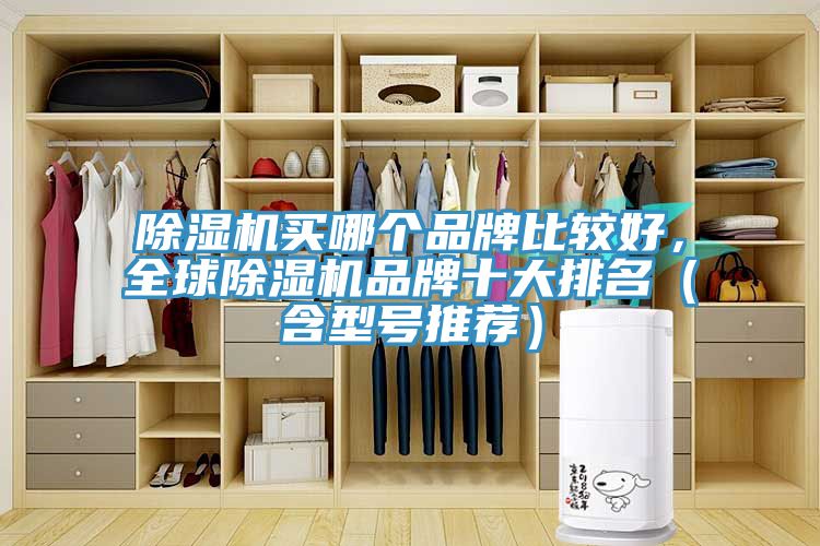 除濕機(jī)買(mǎi)哪個(gè)品牌比較好，全球除濕機(jī)品牌十大排名（含型號(hào)推薦）