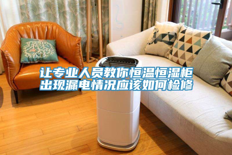 讓專(zhuān)業(yè)人員教你恒溫恒濕柜出現(xiàn)漏電情況應(yīng)該如何檢修