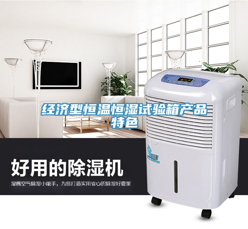 經(jīng)濟(jì)型恒溫恒濕試驗(yàn)箱產(chǎn)品特色