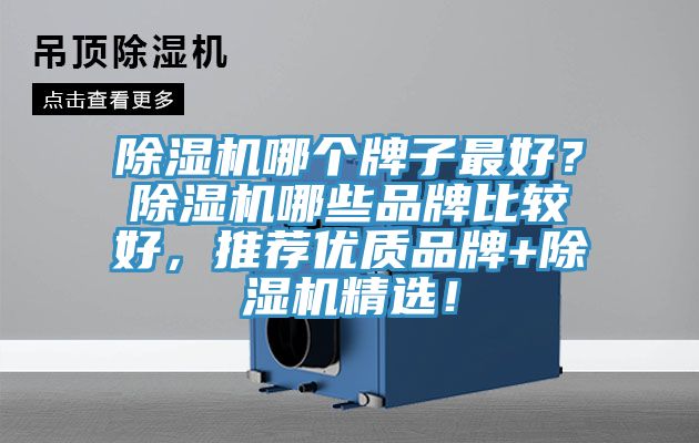 除濕機哪個牌子最好？除濕機哪些品牌比較好，推薦優(yōu)質(zhì)品牌+除濕機精選！