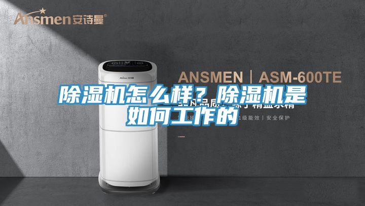 除濕機怎么樣？除濕機是如何工作的