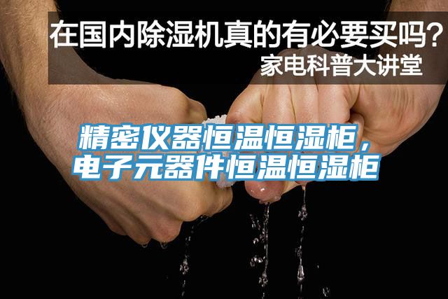 精密儀器恒溫恒濕柜，電子元器件恒溫恒濕柜
