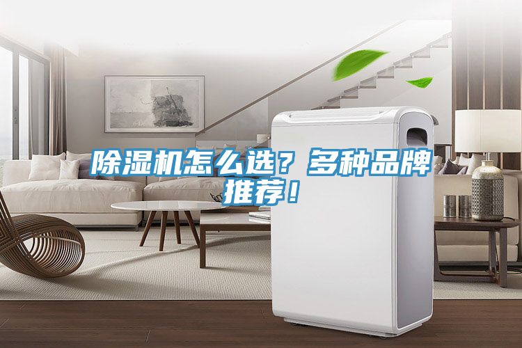 除濕機怎么選？多種品牌推薦！
