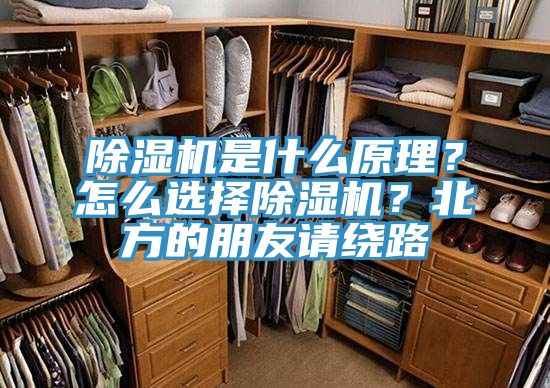 除濕機(jī)是什么原理？怎么選擇除濕機(jī)？北方的朋友請繞路