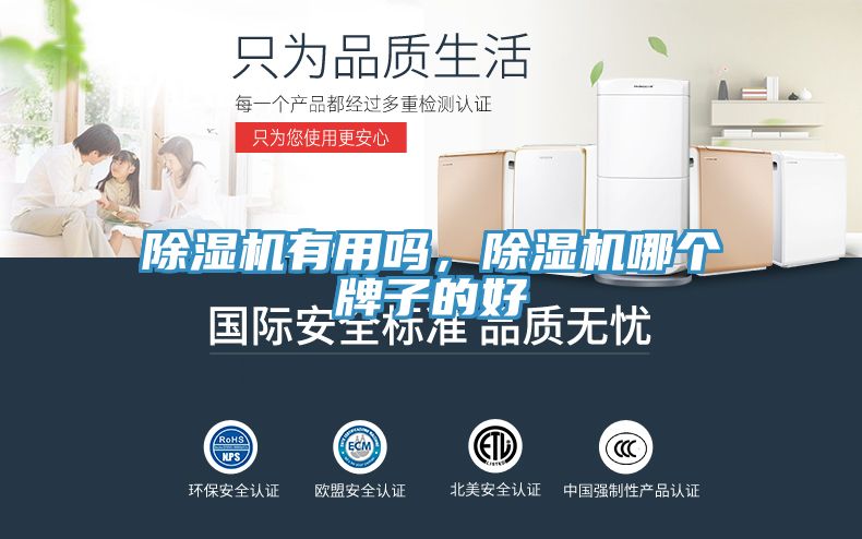 除濕機有用嗎，除濕機哪個牌子的好