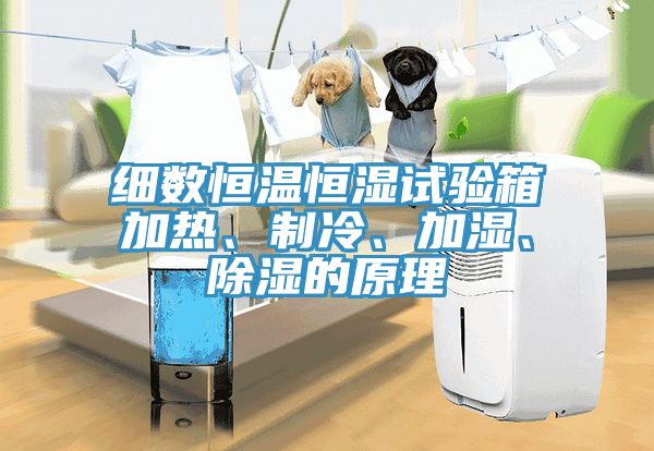 細(xì)數(shù)恒溫恒濕試驗箱加熱、制冷、加濕、除濕的原理