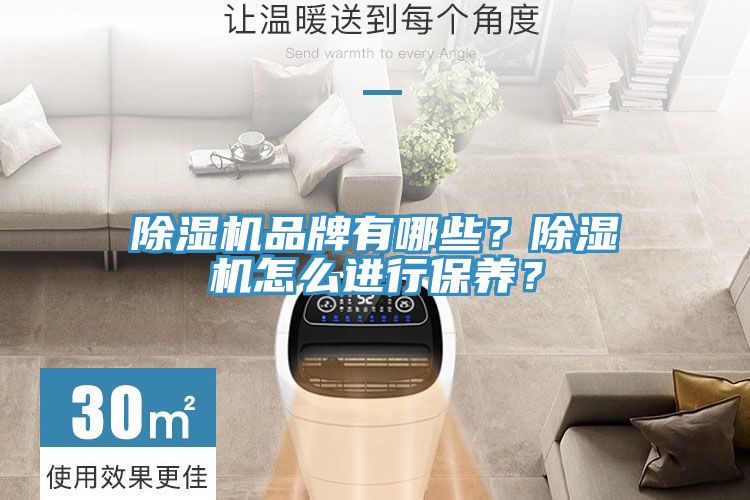 除濕機(jī)品牌有哪些？除濕機(jī)怎么進(jìn)行保養(yǎng)？
