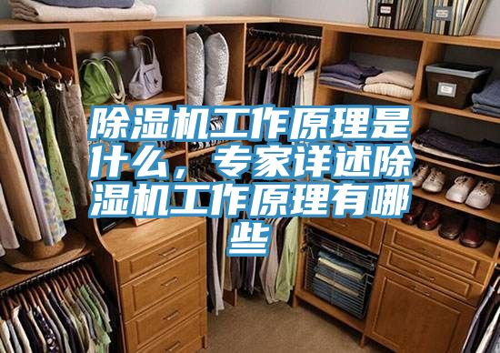 除濕機(jī)工作原理是什么，專家詳述除濕機(jī)工作原理有哪些