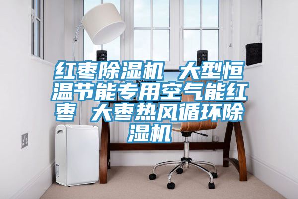 紅棗除濕機 大型恒溫節(jié)能專用空氣能紅棗 大棗熱風(fēng)循環(huán)除濕機