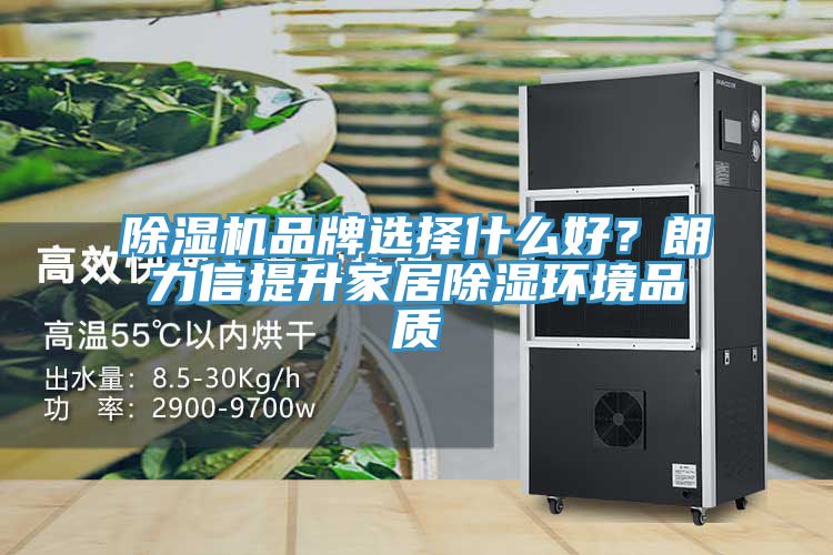 除濕機(jī)品牌選擇什么好？朗力信提升家居除濕環(huán)境品質(zhì)