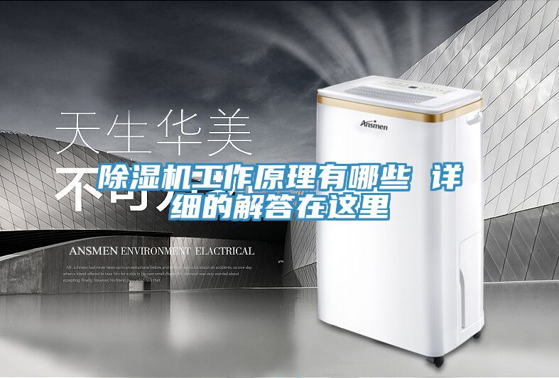 除濕機(jī)工作原理有哪些 詳細(xì)的解答在這里