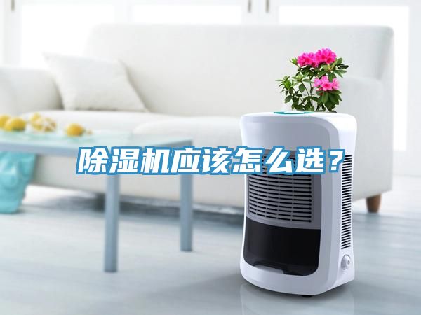 除濕機(jī)應(yīng)該怎么選？