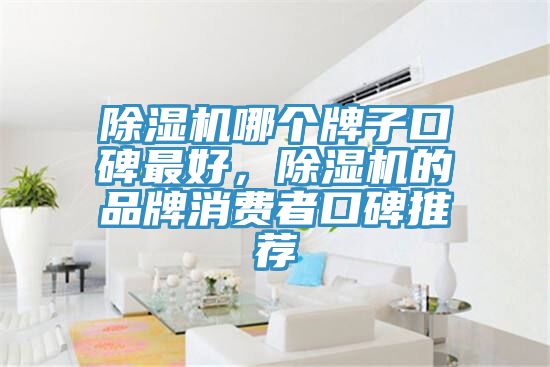除濕機哪個牌子口碑最好，除濕機的品牌消費者口碑推薦