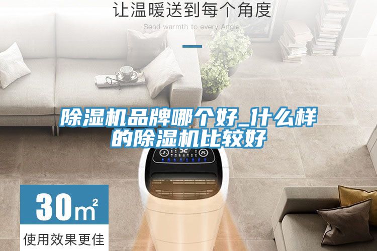 除濕機(jī)品牌哪個好_什么樣的除濕機(jī)比較好