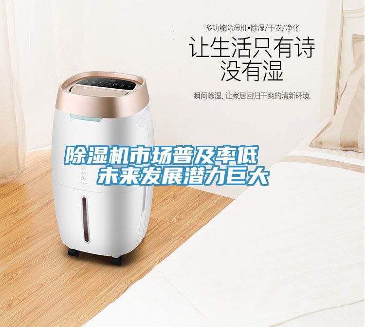 除濕機市場普及率低   未來發(fā)展?jié)摿薮?/></p>
                            <p style=